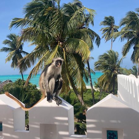 Kholle Villa Jambiani  Eksteriør bilde